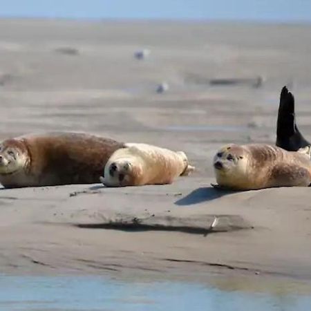 Gite Escale Oceania En Baie De Somme A Ault, 50M De La Mer Exterior foto
